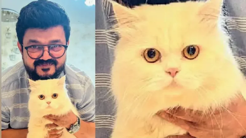 നാദിർഷയുടെ പൂച്ചയുടെ മരണത്തിൽ ദുരൂഹതയില്ല;ഹൃദയാഘാതം മൂലമെന്ന് പോസ്റ്റ്‌മോർട്ടം റിപ്പോർട്ട്