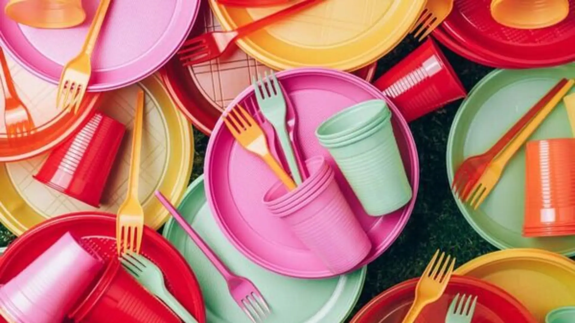 വിവാഹത്തിനടക്കം ഡിസ്പോസിബിൾ പ്ലാസ്റ്റിക് വസ്തുക്കൾ നിരോധിക്കാൻ ഹൈക്കോടതി ഉത്തരവ്