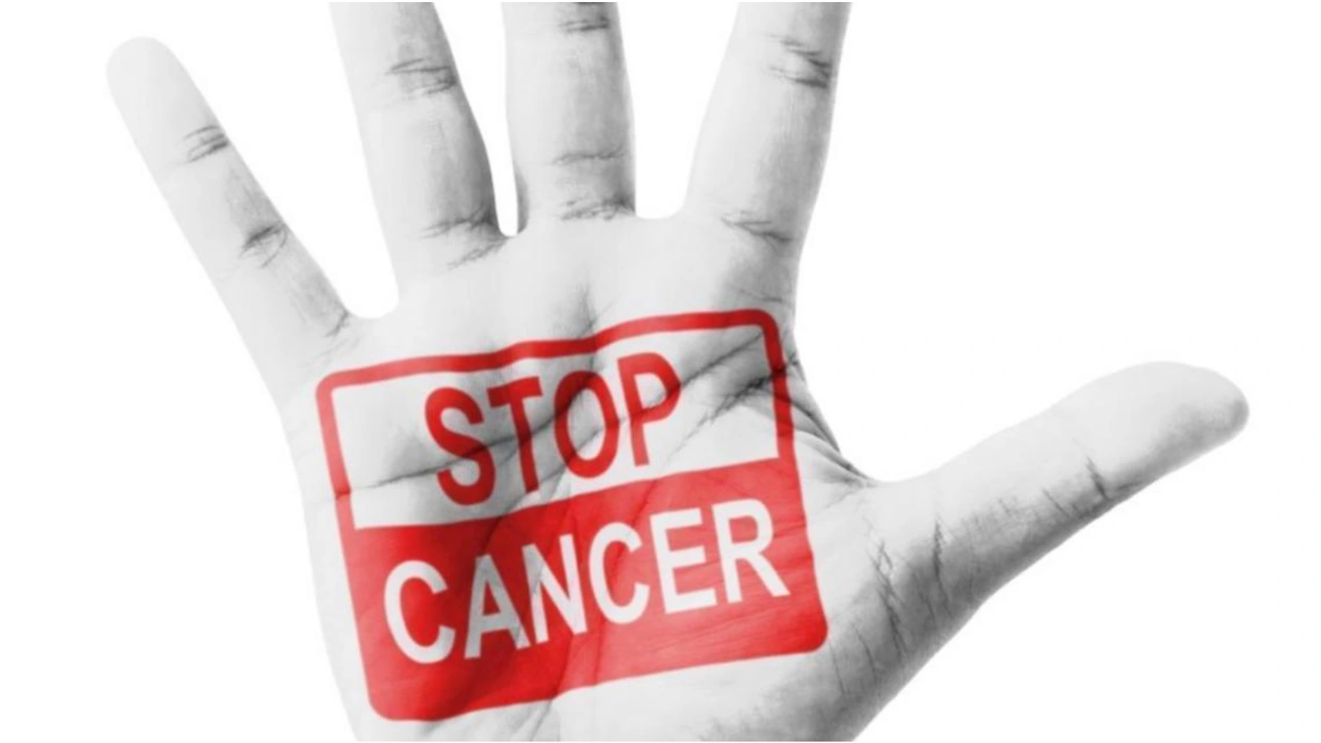 ഇവ കഴിക്കൂ, കാൻസർ മാറിനിൽക്കും