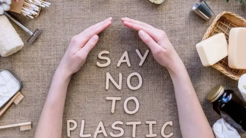 പ്ലാസ്റ്റിക് രഹിത തിരഞ്ഞെടുപ്പ്: കേരളത്തിൽ പ്രചാരണത്തിന് പരിസ്ഥിതി സൗഹൃദ നിയമങ്ങൾ